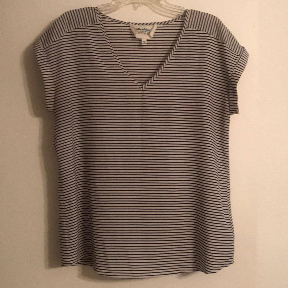 Alice Blue striped v-neck blouse - Stitch Fix